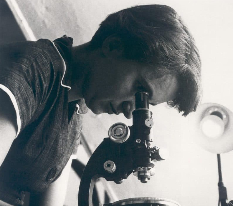 Woman with dark hair looking through a microscope